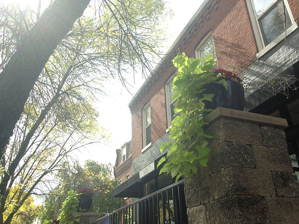 Brick building front with a planter of green leaves on a stone pillar under tall trees